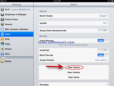 How to clear Safari history on iPad?