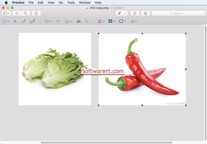 combine photos images in preview on mac