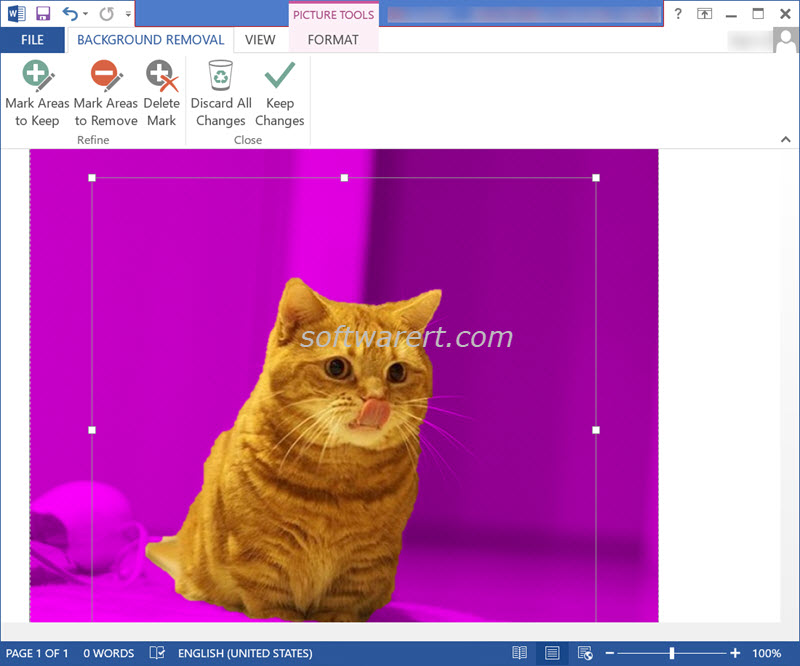 picture background removal microsoft word for windows