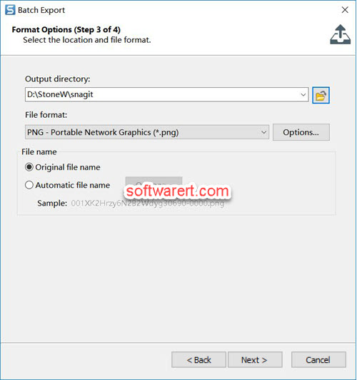 Snagit Editor Batch Export - output directory, file format, file name