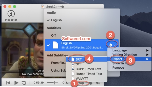 convert subtitles to srt format using submerge app on Mac 