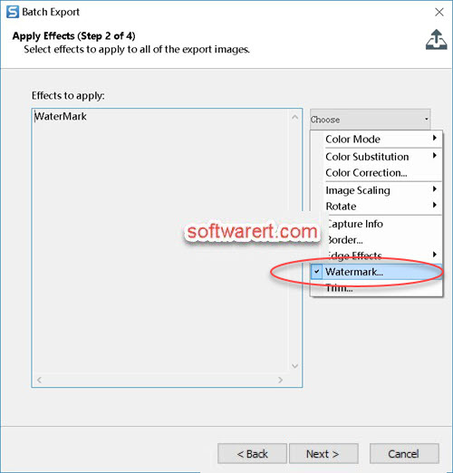 snagit editor for windows - batch export apply watermark