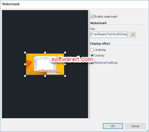 snagit editor for windows -  watermark settings