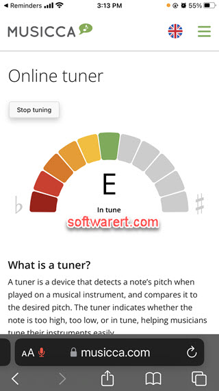 tune guitar with Musicca online guitar tuner