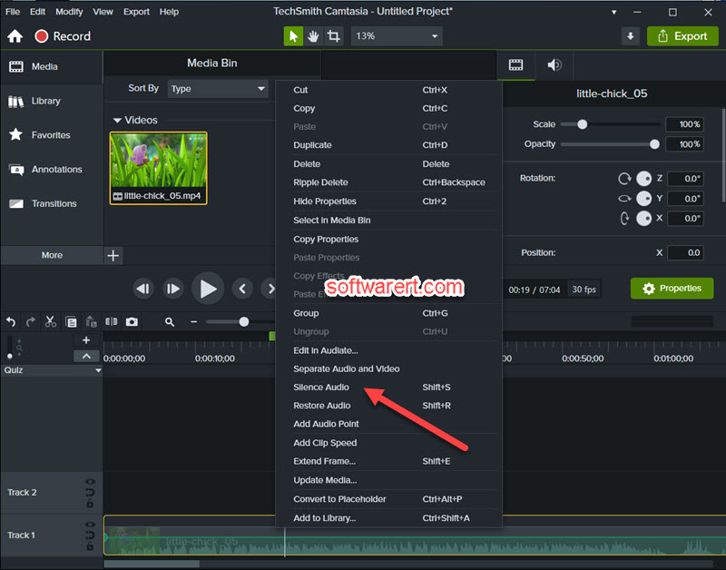 mute video, silence audio in Camtasia for Windows